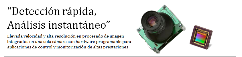 Head of Camara